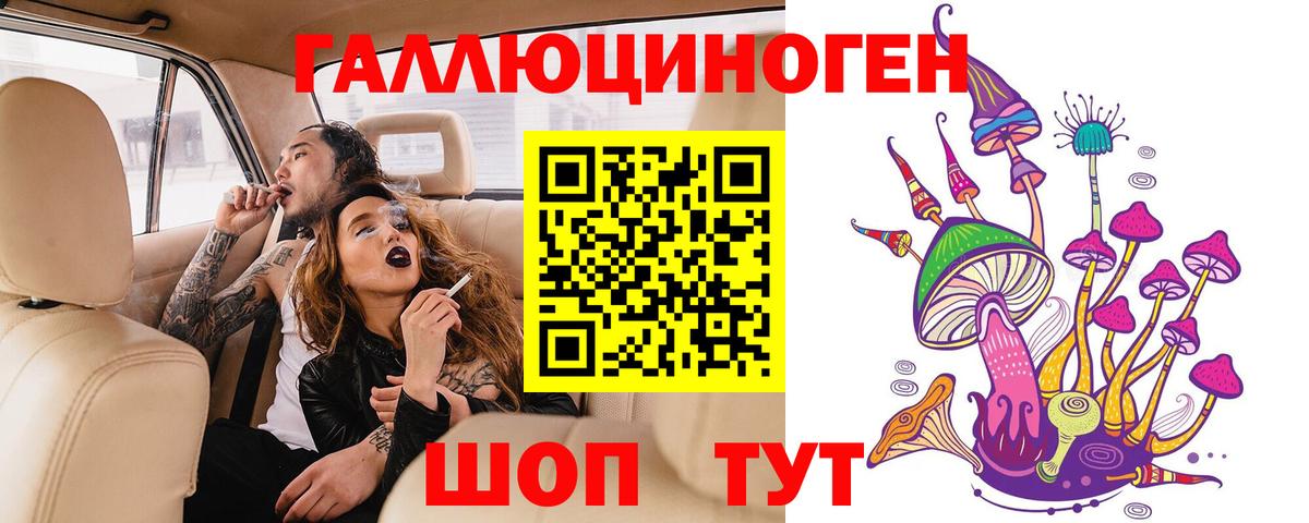 Псилоцибиновые грибы Cubensis Саянск