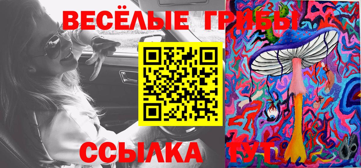Саянск  даркнет сайт  Вход с VPN  Галлюциногенные грибы мицелий 
