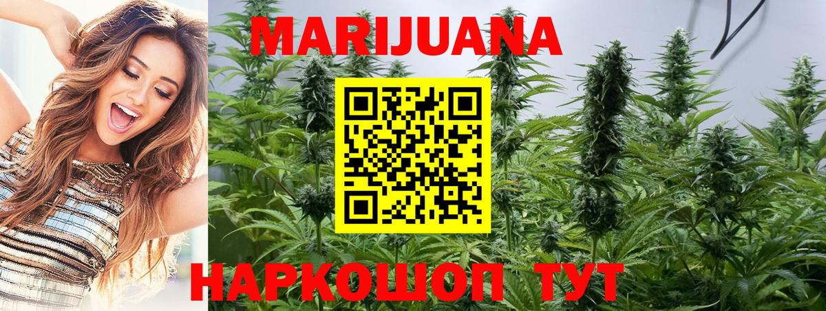 Шишки марихуана AK-47  Вход с VPN  Бошки Шишки OG Kush  Саянск  Марихуана ГИДРОПОН 